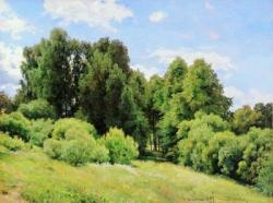 "Полянка". 1897 г.